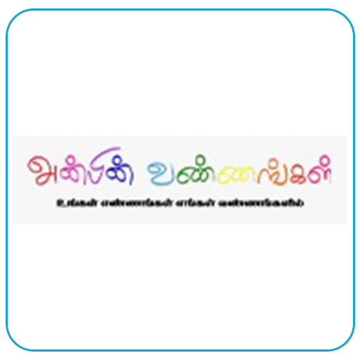 software development